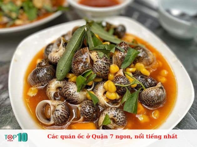 Các quán ốc ở Quận 7 ngon, nổi tiếng nhất