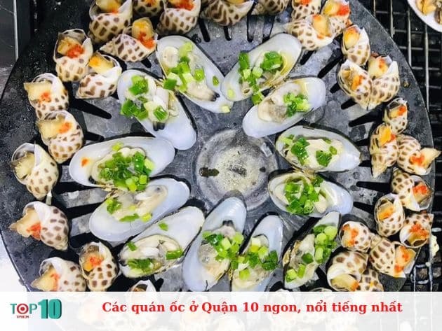 Các quán ốc ở Quận 10 ngon, nổi tiếng nhất