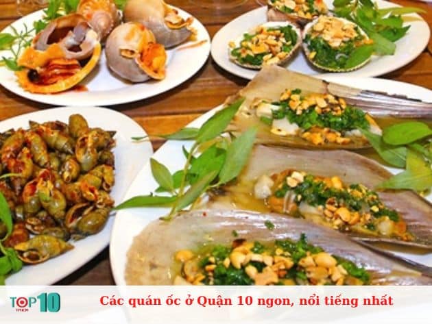 Các quán ốc ở Quận 10 ngon, nổi tiếng nhất