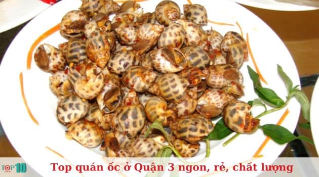 Quán ốc Chi Mập