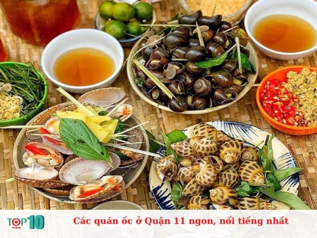 Các quán ốc ở Quận 11 ngon, nổi tiếng nhất