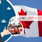 Các trung tâm tư vấn du học Canada ở TPHCM uy tín