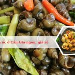 Top các quán ốc ở Cần Giờ ngon, rẻ, nổi tiếng
