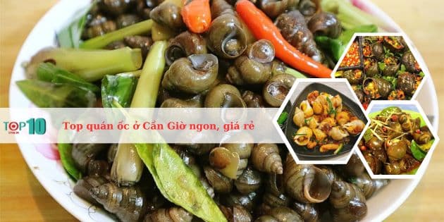 Top 8 quán ốc ở Cần Giờ ngon, giá rẻ, chất lượng