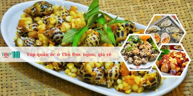 Top 8 quán ốc ở Thủ Đức ngon, giá rẻ, chất lượng