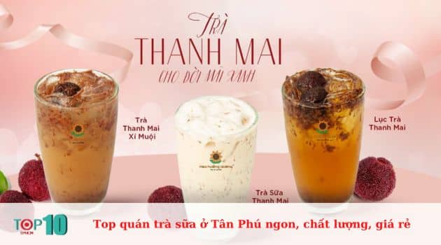 Trà sữa hoa hướng dương