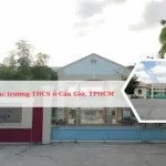 Danh sách các trường THCS ở huyện Cần Giờ, TPHCM tốt nhất