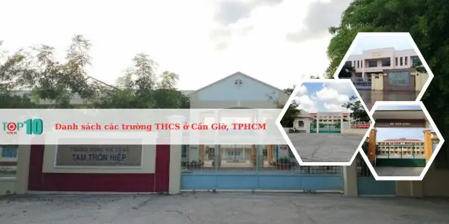 Danh sách các trường THCS ở huyện Cần Giờ, TPHCM tốt nhất