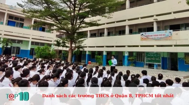Trường THCS Dương Bá Trạc
