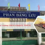 Các trường cấp 2 ở Quận 8