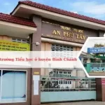 Danh sách các trường tiểu học ở huyện Bình Chánh, TPHCM tốt nhất