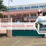Danh sách các trường Tiểu học ở huyện Cần Giờ, TPHCM tốt nhất