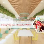 Danh sách các trường Tiểu học ở Quận 8, TPHCM tốt nhất