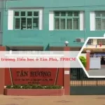 Danh sách các trường tiểu học ở quận Tân Phú, TPHCM tốt nhất