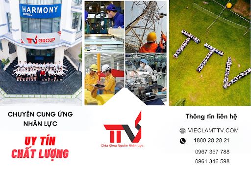 Công ty TNHH TTV Đông Sài Gòn