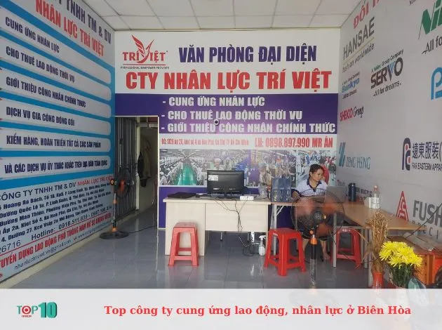 Công ty Nhân lực Trí Việt