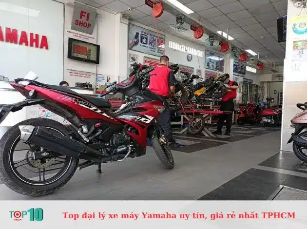 Đại lý Yamaha Town Long Thành Đạt