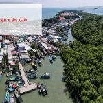 Dân số huyện Cần Giờ