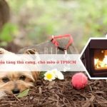 Danh sách các dịch vụ hỏa thiêu thú cưng, chó mèo tại Sài Gòn