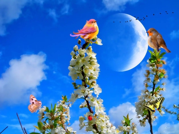 Hình ảnh mùa xuân trăm hoa đua nở, những chú chim gọi bầy đến vui xuân.