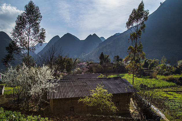 Ngôi làng ẩn khuất dưới núi vào một ngày xuân yên bình.