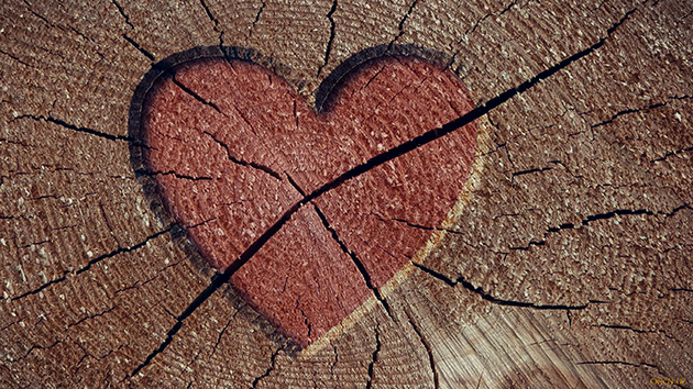 Nền Trái Tim Tan Vỡ Trái Tim Rỉ Máu Valentine Thủ Công đa Tình Hình Chụp Và Hình  ảnh Để Tải Về Miễn Phí - Pngtree