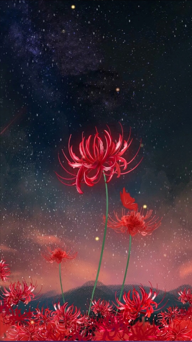 Hình nền hoa bỉ ngạn đỏ rực dưới bầu trời đêm đầy sao.