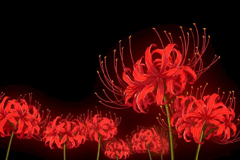 Ảnh 3D hoa bỉ ngạn đỏ sắc nét làm hình nền máy tính cực sống động.