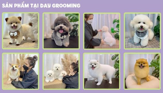 Day Grooming