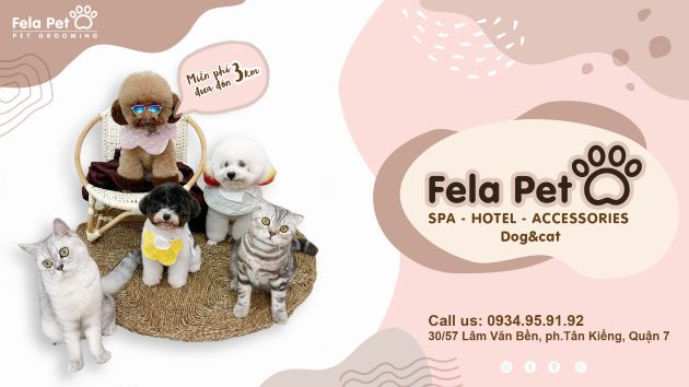 FELA PET