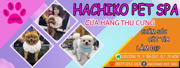 Hachiko Pet Spa 