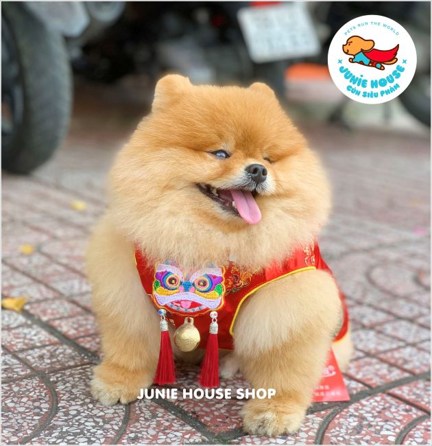Junie House Pet Shop
