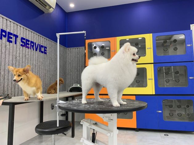 Pet Service