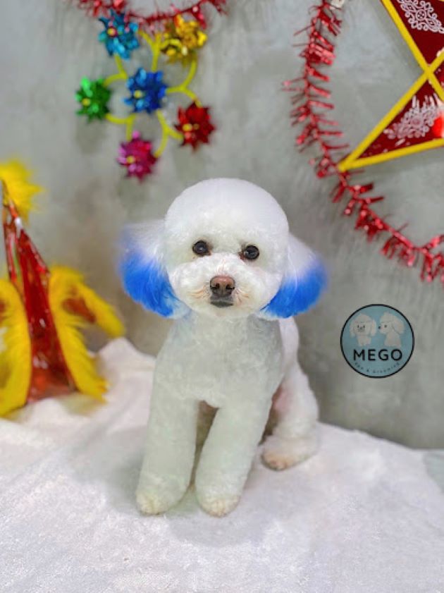 Mego Spa and Grooming