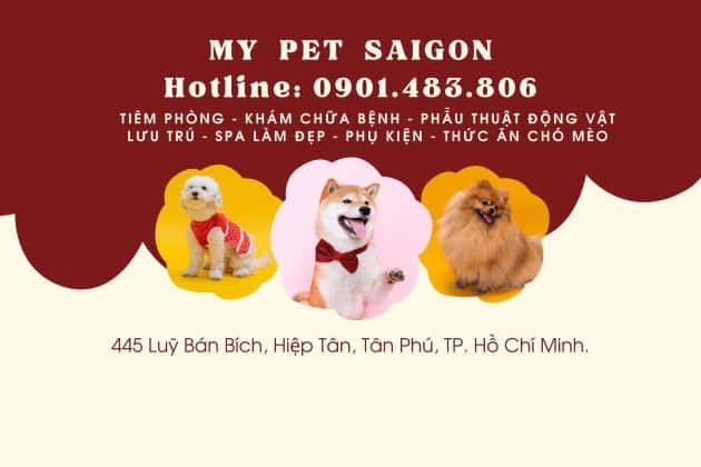 My Pet Sài Gòn