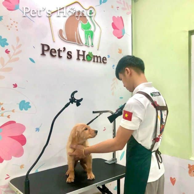 Pet's Home