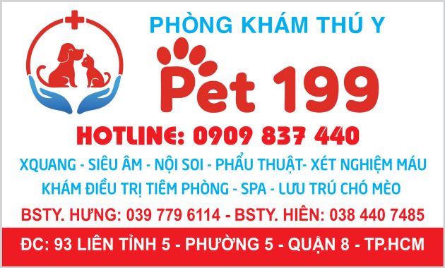 Phòng khám thú y 199