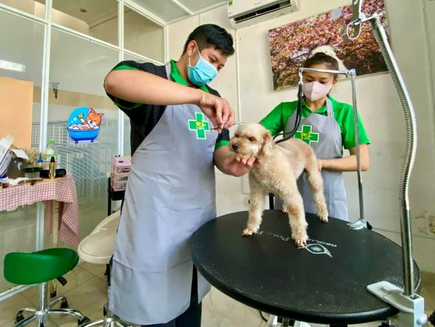 Bệnh viện Thú y PetCare