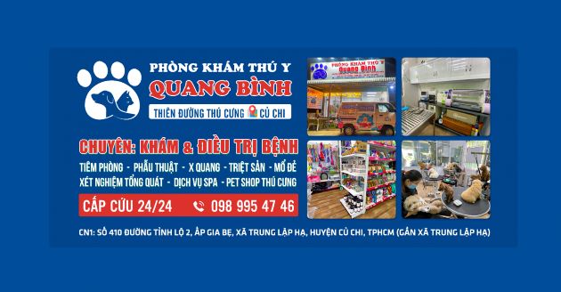  Phòng khám thú y Quang Bình