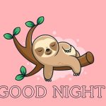 Ảnh chú lười chúc mọi người một buổi tối say giấc nồng.