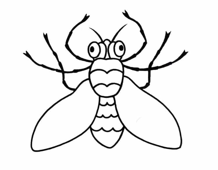 Hình vẽ con ruồi hoạt hình cho bé.