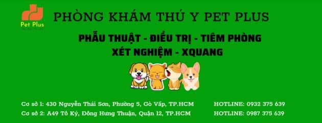 Phòng khám thú y Pet Plus