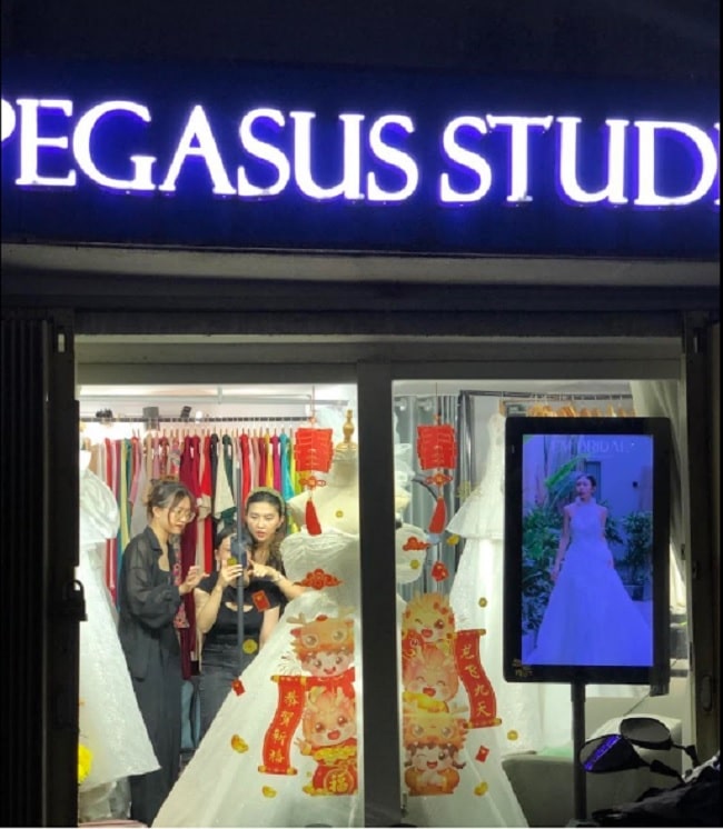 Pegasus Studio