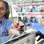 Danh sách các công ty may mặc ở Phú Thọ