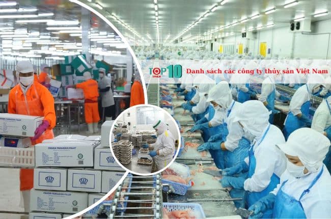 Danh sách các công ty thủy sản Việt Nam