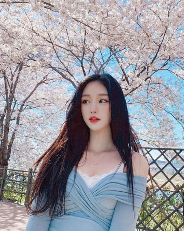 Nét đẹp thuần khiết của hot girl Hàn Quốc dưới cây hoa anh đào.