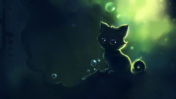 Ảnh mèo đen anime cute ẩn hiện dưới bầu trời đêm lung linh.