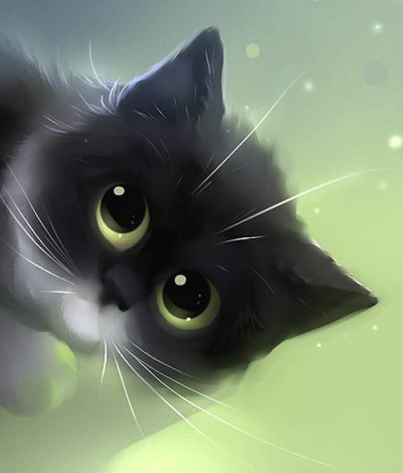 Hình ảnh Con Mèo đen với đôi mắt long lanh huyền bí.