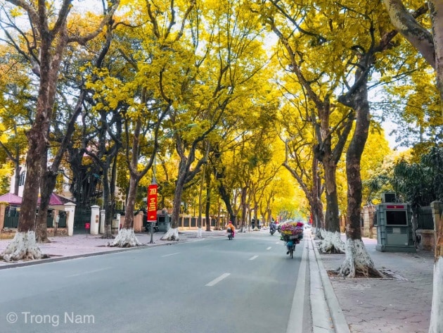 Hình nền đường phố mùa thu Hà Nội đẹp đến nao lòng.