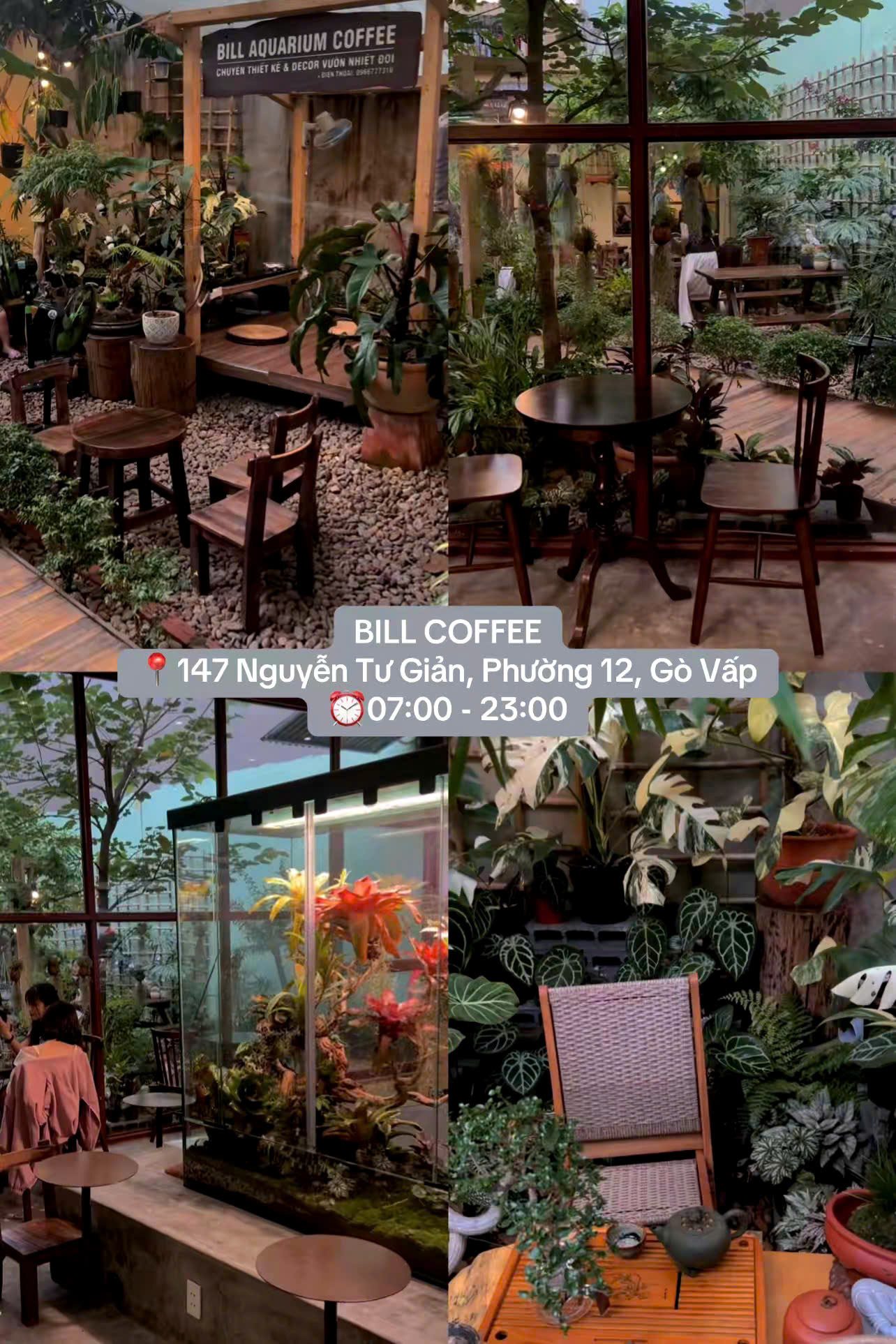 AN Coffee sở hữu không gian rộng rãi, nhiều cây xanh và góc ngồi thoải mái cho học tập hay trò chuyện